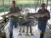 (09/25/2018) - Nice Striped Bass